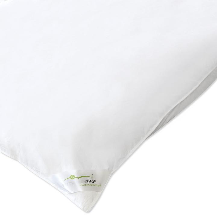 Image du produit Traumschlaf Ballon (3000 g, 155 x 220 cm)