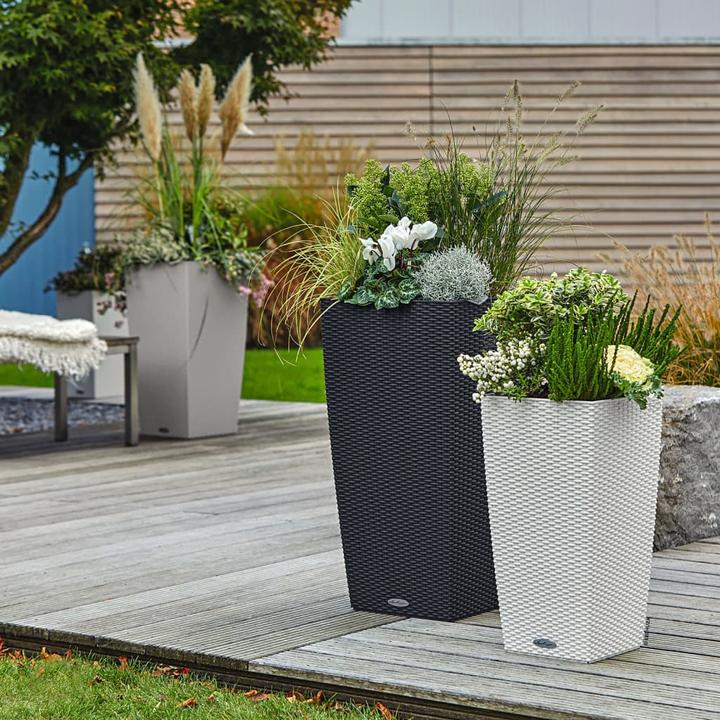Image du produit Lechuza Cottage Cubico (29.50 cm)