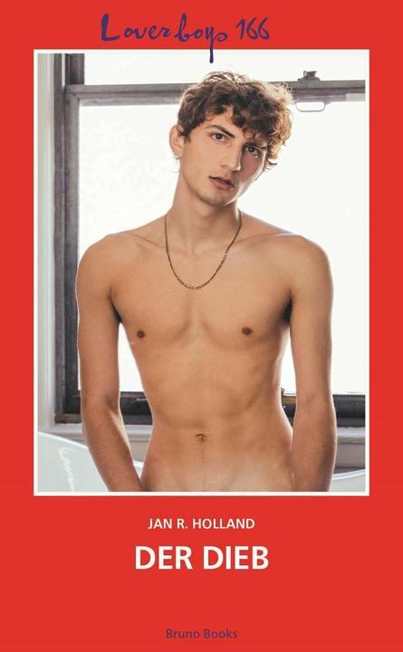 Actual product image Loverboys 166: Der Dieb (German, Jan R. Holland, 2021)