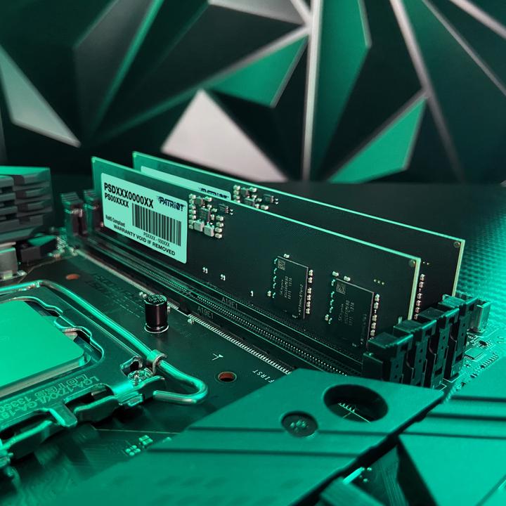 Actual product image Patriot D516GB 4800-40 Signature K2 PAT (PSD516G4800K) (2 x 8GB, 4800 MHz, DDR5 RAM, DIMM)