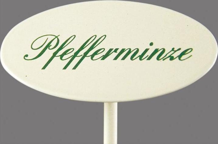 Gewürzstecker Pfefferminze 20 cm (20 cm)