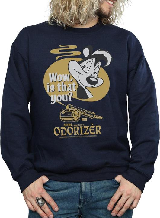 Produktbild Looney Tunes Odorizer Sweatshirt (L)
