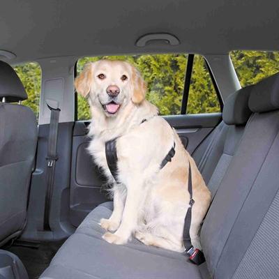 Produktbild Trixie Auto-Geschirr (XS, Hund, Allgemein)