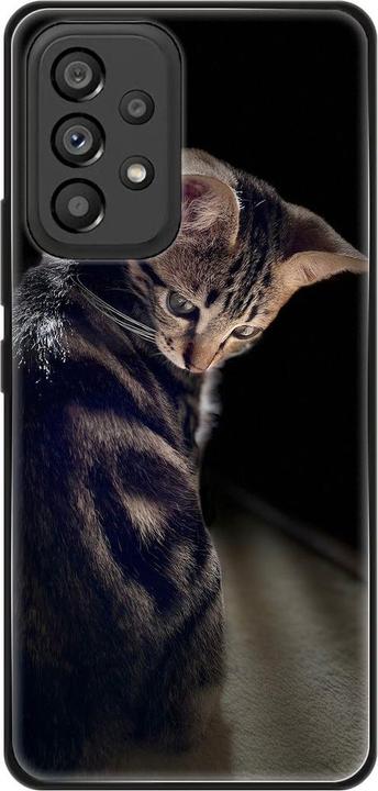 Young cat