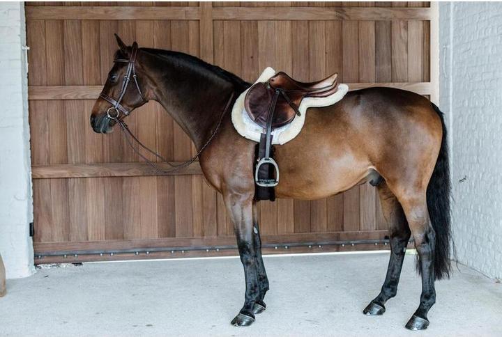 Image du produit Kentucky Horsewear tapis de hunter vegan