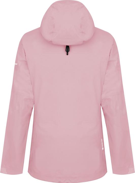 Immagine prodotto Salewa Giacca Puez GTX-Paclite da donna (40, L)