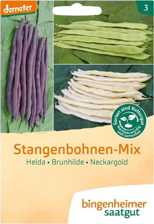 Actual product image Bingenheimer Saatgut Runner bean mix (Seedlings)