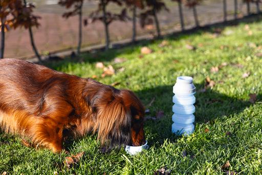 Produktbild Beeztees Trinkflasche (0.55 l)