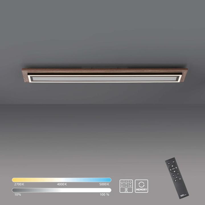 Produktbild Paul Neuhaus Palma (1500 lm)