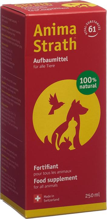 Produktbild Anima-Strath Flüssiges Aufbau- & Stärkungsmittel (Senior, Adult, Junior, 1 Stk., 0.25 g)