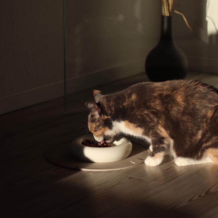 Produktbild LucyBalu DROP Katzennapf
