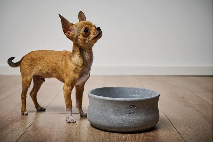 Immagine prodotto Laboni Rocky Jr. (1.50 l)