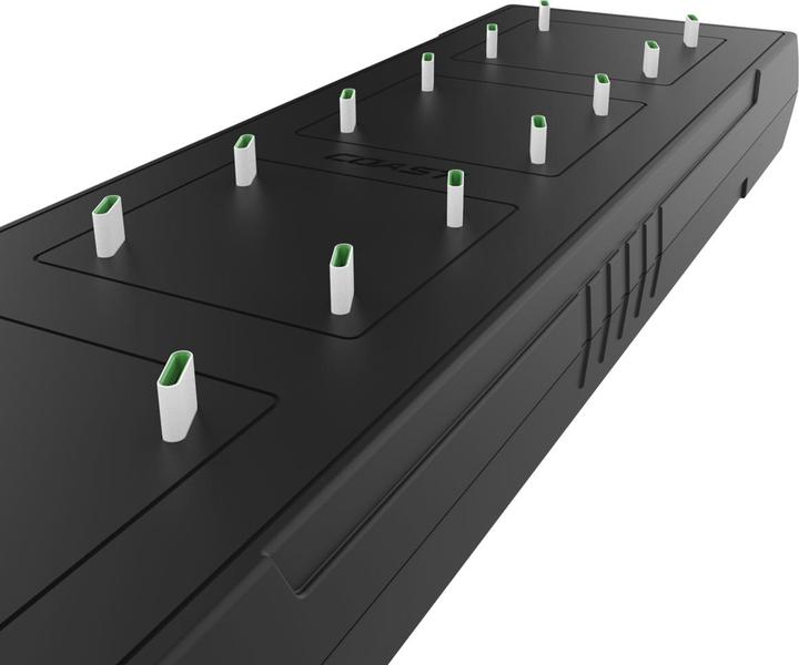Immagine prodotto Coast Caricabatterie ZXCS16 per 16 batterie USB-C