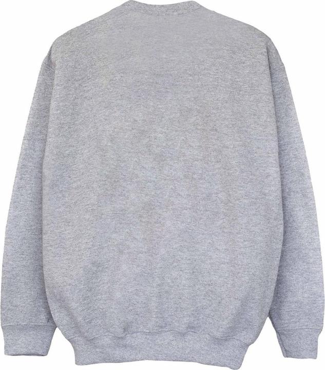 Produktbild Disney Sweatshirt Jungen (140, 146)