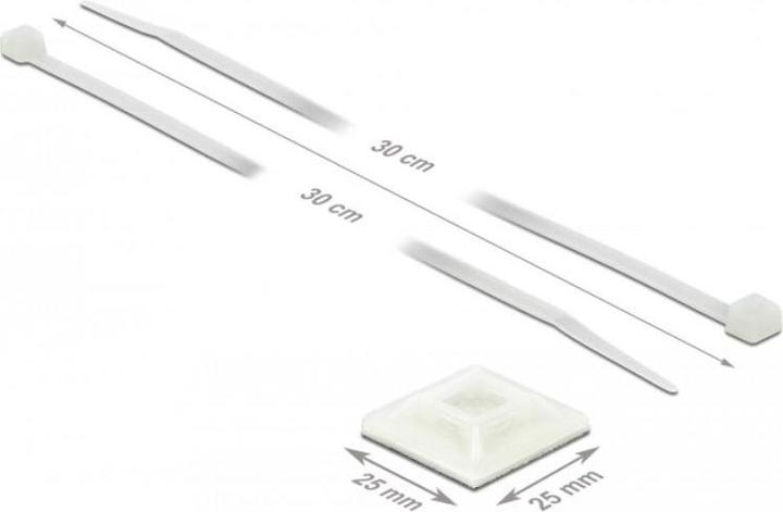 Actual product image Delock Cable tie holder (Plastic cable ties, 25 mm, 10 pcs.)