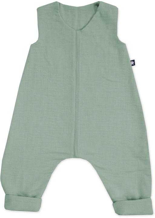 Julius Zöllner Jumper (80 cm, 0.5 TOG)