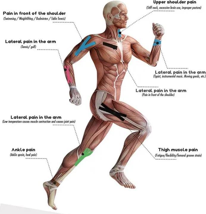 Image du produit Cbx Kinesiology Tape, Sport Tape 5m (5 m)