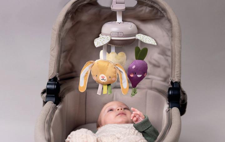 Actual product image Taf Toys TAF Garden - Take Along Mobile (259-13275)