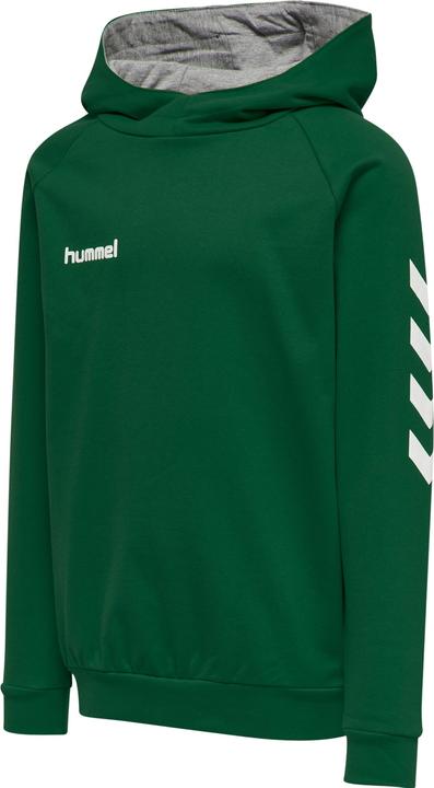 Actual product image hummel Go Kids Cotton Hoodie (164)