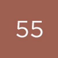 Image du produit Diego dalla Palma Push Up Gloss No 55 (55)