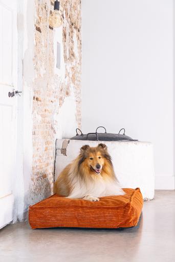 Produktbild Designed by Lotte Liegekissen Ribbed (Hund)