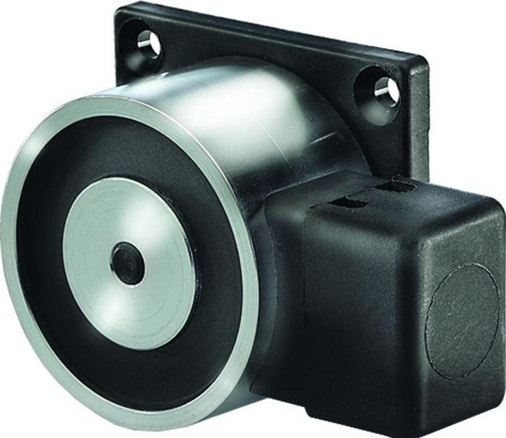 Actual product image BSW Holding magnet RH50-N490-WM (Indoor)