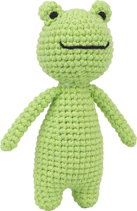 Actual product image Creative crafting world Crochet Set "Trevor the Frog