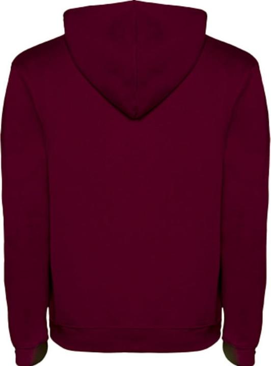 Image du produit Alpinia - Sweat à capuche URBAN - Homme (L)
