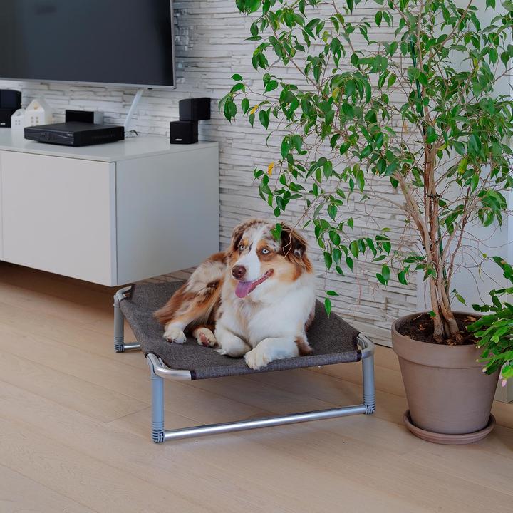 Actual product image Ferplast Dream (Dog)