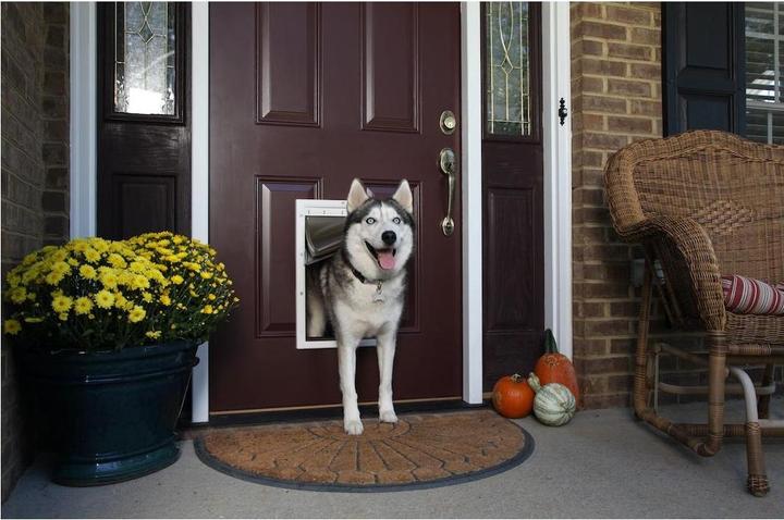Image du produit PetSafe Météo extrême (Chatière manuelle)