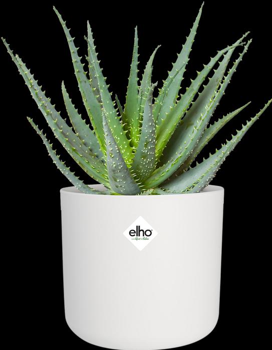 Immagine prodotto Elho b.for soft (13.80 cm)