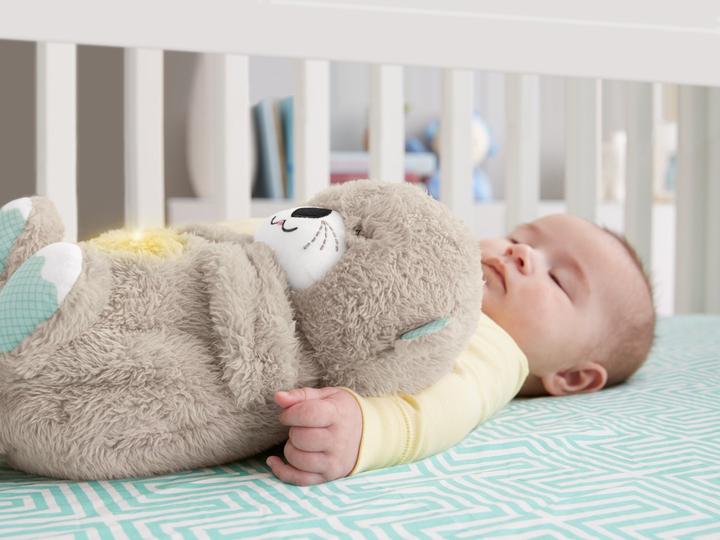 Immagine prodotto Fisher-Price Lontra di sonno (20.30 cm)