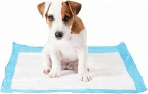 Produktbild Duvoplus + + Hundeunterlagen XL 30 Stk. 60x60cm (Hund)
