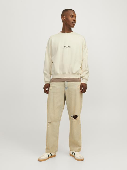 Produktbild Jack & Jones Jorbrooklyn Graphic Sweat Crew Neck Ln (XL)