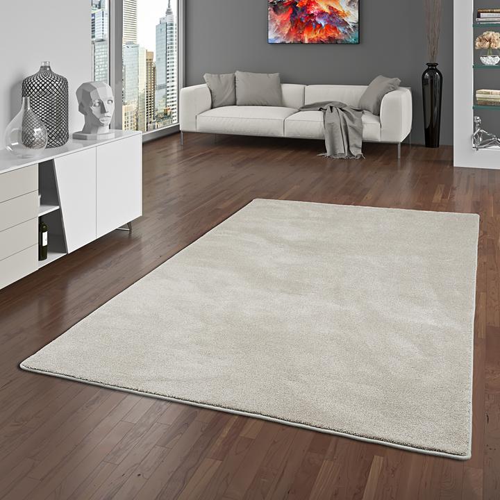 Produktbild Snapstyle Hochflor Luxus Velours Teppich Touch (100 x 400 cm)