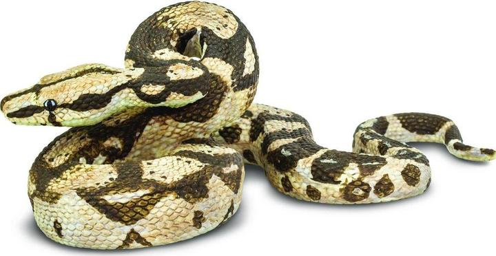 Actual product image Safari Boa Constrictor