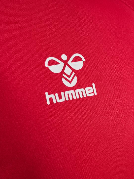 Actual product image hummel Hmlauthentic Pl Jersey S/S (M)