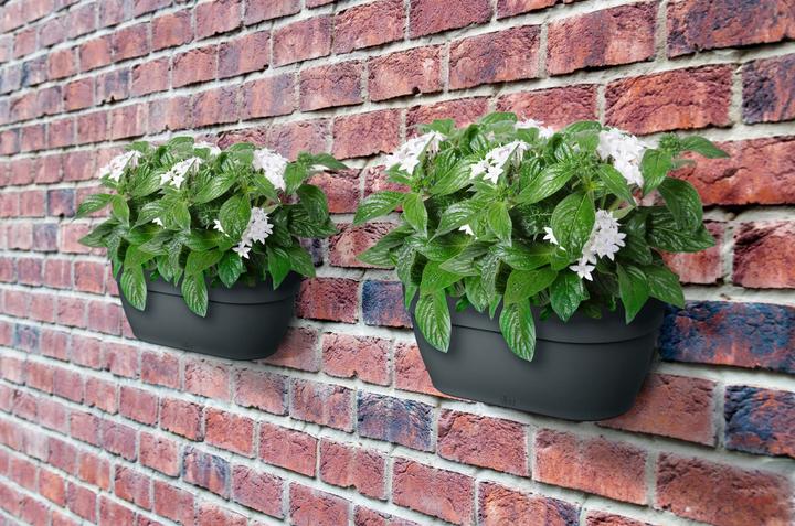 Image du produit Elho Vibia Campana Wandampel (35 cm)