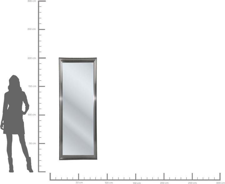 Image du produit Kare Design Cadre argent (90 x 180 cm)