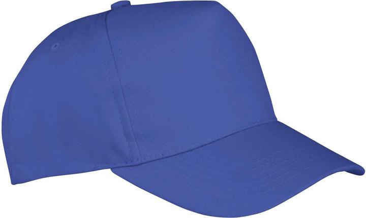 Bleu roi