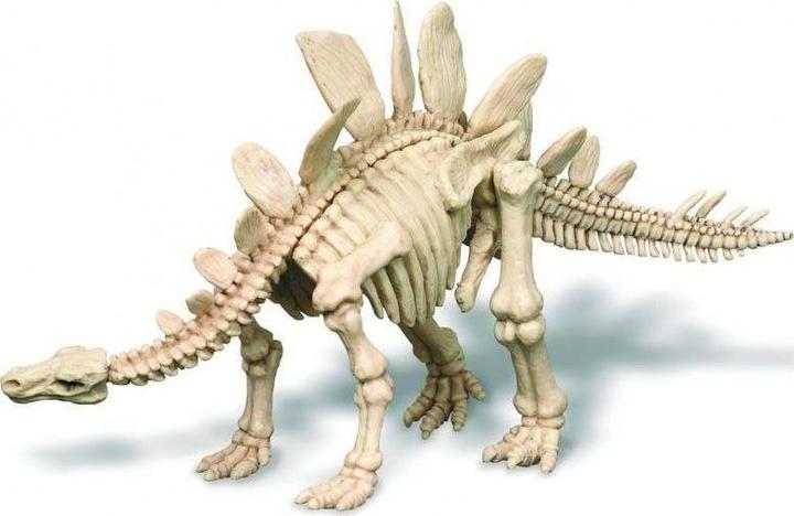 Actual product image 4M Dig a Stegosaurus Skeleton