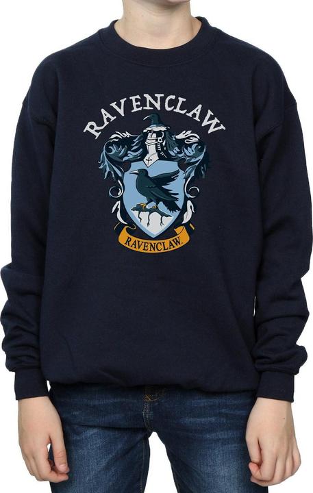 Produktbild Sweatshirt Jungen (116)