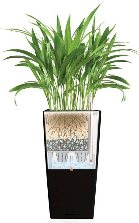 Actual product image Lechuza cubico (39.50 cm)