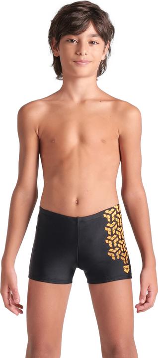 Arena B Kikko V Swim Short Graphic