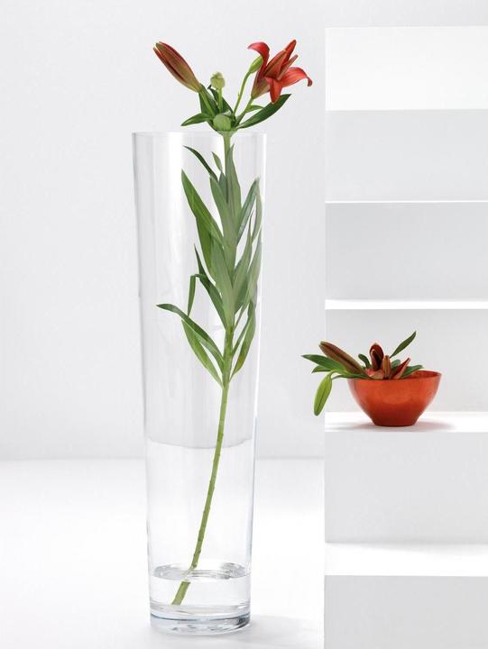 Produktbild Leonardo Vase (1 x, 20 x 20 x 71.5 cm, 28.60 l)