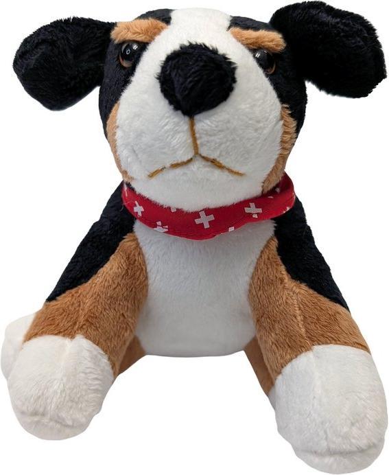 Immagine prodotto TopSpirit Peluche Bovaro del Bernese (13 cm)