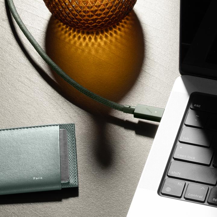 Actual product image Native Union USB C – USB C (2.40 m, USB 2.0, 240 W)