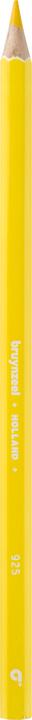 Actual product image Bruynzeel Colored pencil Colorexpress (Lemon)
