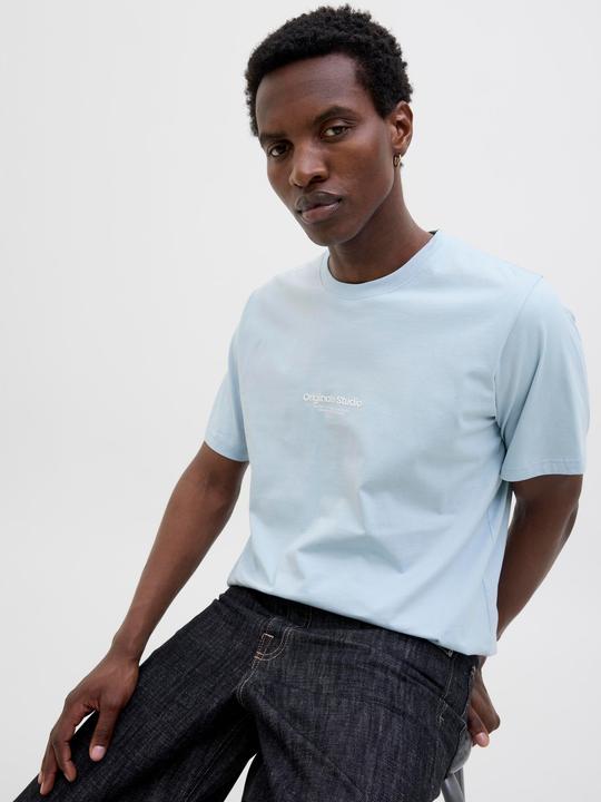 Actual product image Jack & Jones Jorvesterbro Tee Ss Crew Neck Noos (L)