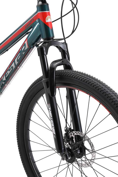 Actual product image Bikestar Hardtail mountain bike (43.20 cm)